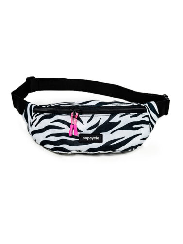 Crno bela zebra